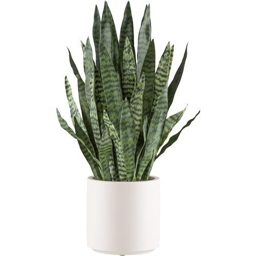 4064118241010 - Kunstpflanze CREATIV GREEN Sanseveria zeylanica grün Kunstpflanzen H 90cm Kunststoff im eleganten cremefarbenen Topf H90cm 4064118241010 - Kunstpflanze CREATIV GREEN Sanseveria zeylanica grün Kunstpflanzen H 90cm Kunststoff im eleganten cremefarbenen Topf H90cm