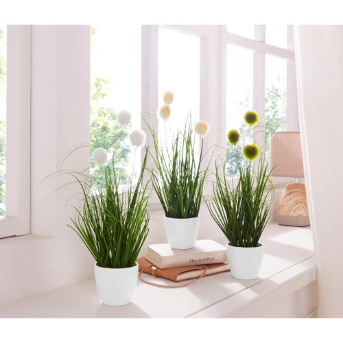 4003529740934 - Kunstgras CREATIV GREEN Grasbusch Kunstpflanzen Gr H 36 cm 3 St grün Kunstgras Kunst-Gräser Kunstpflanzen 4003529740934 - Kunstgras CREATIV GREEN Grasbusch Kunstpflanzen Gr H 36 cm 3 St grün Kunstgras Kunst-Gräser Kunstpflanzen