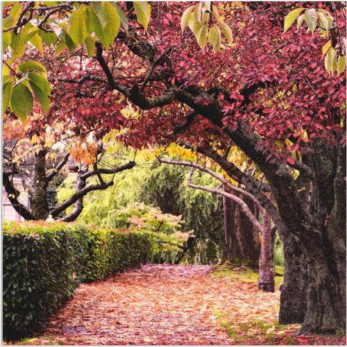 4058661331137 - Wandbild ARTLAND Baumbogen Bilder Gr B H 50 cm x 50 cm Alu-Dibond-Druck Bäume quadratisch 1 St beige (naturfarben) Bild Metallbild Metallbilder Bilder als Alubild Leinwandbild Wandaufkleber oder Poster in versch Größen 4058661331137 - Wandbild ARTLAND Baumbogen Bilder Gr B H 50 cm x 50 cm Alu-Dibond-Druck Bäume quadratisch 1 St beige (naturfarben) Bild Metallbild Metallbilder Bilder als Alubild Leinwandbild Wandaufkleber oder Poster in versch Größen
