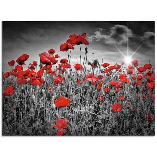 4059745122825 - Glasbild ARTLAND Idyllisches Mohnblumenfeld Bilder Gr B H 60 cm x 45 cm Glasbild Blumen Querformat 1 St schwarz Bild Glasbild Glasbilder Bilder in verschiedenen Größen