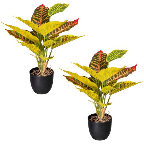 4064118971221 - Künstliche Zimmerpflanze CREATIV GREEN Grünpflanze Croton Kunstpflanzen Gr H 35 cm 2 St grün Künstliche Zimmerpflanzen im 2er Set 4064118971221 - Künstliche Zimmerpflanze CREATIV GREEN Grünpflanze Croton Kunstpflanzen Gr H 35 cm 2 St grün Künstliche Zimmerpflanzen im 2er Set