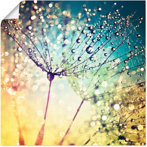 4059745194679 - Wandbild ARTLAND Pusteblume Zaubertropfen Bilder Gr B H 40 cm x 40 cm Poster Blumen 1 St bunt Bild Kunstdruck Metallbild Metallbilder Bilder als Alubild Leinwandbild Wandaufkleber oder Poster in versch Größen 4059745194679 - Wandbild ARTLAND Pusteblume Zaubertropfen Bilder Gr B H 40 cm x 40 cm Poster Blumen 1 St bunt Bild Kunstdruck Metallbild Metallbilder Bilder als Alubild Leinwandbild Wandaufkleber oder Poster in versch Größen