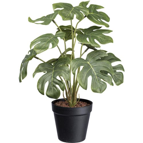 4064118181347 - Künstliche Zimmerpflanze CREATIV GREEN Splitphilodendron grün H38cm Kunstpflanzen mit schönen Blättern 4064118181347 - Künstliche Zimmerpflanze CREATIV GREEN Splitphilodendron grün H38cm Kunstpflanzen mit schönen Blättern