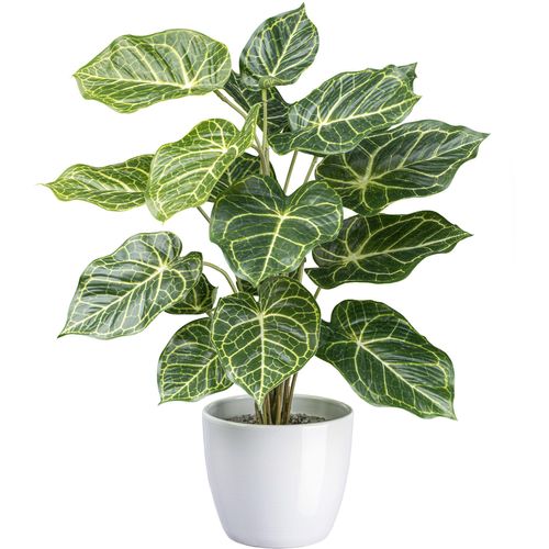 4064118182450 - Künstliche Zimmerpflanze CREATIV GREEN Nephtytispflanze grün H50cm Ø50cm Kunstpflanzen mit detailgetreuen Blättern 4064118182450 - Künstliche Zimmerpflanze CREATIV GREEN Nephtytispflanze grün H50cm Ø50cm Kunstpflanzen mit detailgetreuen Blättern