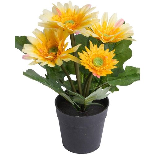 8505451845023 - Kunstblume BOTANIC-HAUS Gerbera mit 5 Blüten gelb B24cm H26cm T24cm Ø24cm Kunststoff Kunstpflanzen 8505451845023 - Kunstblume BOTANIC-HAUS Gerbera mit 5 Blüten gelb B24cm H26cm T24cm Ø24cm Kunststoff Kunstpflanzen