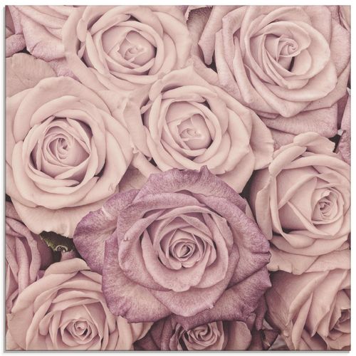 4057738070733 - Glasbild ARTLAND Rosen Bilder Gr B H 40 cm x 40 cm Glasbild Blumen quadratisch 1 St pink Bild Glasbild Glasbilder Bilder in verschiedenen Größen 4057738070733 - Glasbild ARTLAND Rosen Bilder Gr B H 40 cm x 40 cm Glasbild Blumen quadratisch 1 St pink Bild Glasbild Glasbilder Bilder in verschiedenen Größen