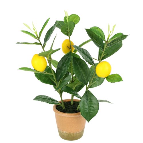 4019844810597 - Kunstpflanze IGEA Künstlicher Mini-Zitronenbaum gelb B15cm H31cm L15cm Polyester Kunstpflanzen Lebensechter Kunstbaum Baum Dekoration Obstbaum Pflanze 4019844810597 - Kunstpflanze IGEA Künstlicher Mini-Zitronenbaum gelb B15cm H31cm L15cm Polyester Kunstpflanzen Lebensechter Kunstbaum Baum Dekoration Obstbaum Pflanze