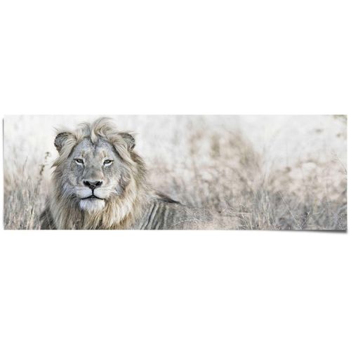 8714597539295 - Poster REINDERS Löwe grün (farbe bild(er) khaki) B158cm H53cm Papier Bilder