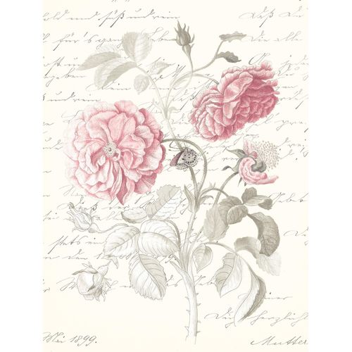 4055065179952 - Bild KOMAR Poème Rose rot (farbe bild(er) rot grün) B30cm H40cm Papier Holz Bilder Wandbild zur Dekoration - ohne Rahmen 4055065179952 - Bild KOMAR Poème Rose rot (farbe bild(er) rot grün) B30cm H40cm Papier Holz Bilder Wandbild zur Dekoration - ohne Rahmen