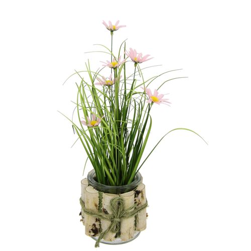 4019844770549 - Kunstblume IGEA Margeriten im Gras Kunstpflanzen Gr B H 15 cm x 33 cm 2 St rosa Kunst-Blumen 3er Set