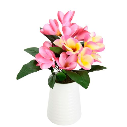 4019844803834 - Kunstblume IGEA Frangipani in Vase aus Keramik rosa B25cm H35cm L20cm Polyester Kunstpflanzen 4019844803834 - Kunstblume IGEA Frangipani in Vase aus Keramik rosa B25cm H35cm L20cm Polyester Kunstpflanzen