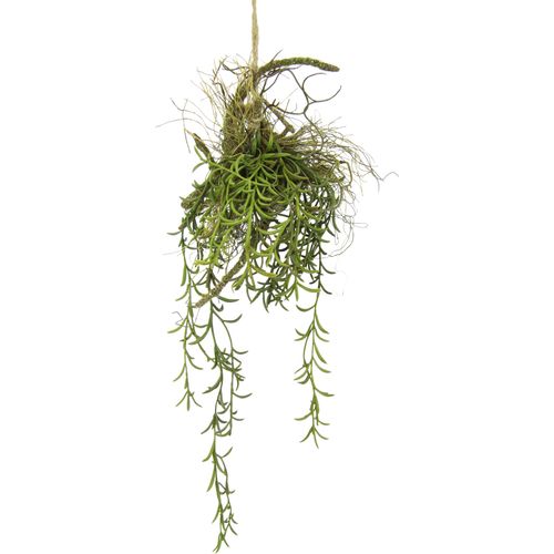 4019844789688 - Kunstpflanze IGEA Tillandsia Kunstpflanzen Gr B H L 20 cm x 72 cm x 18 cm 1 St grün Künstliche Zimmerpflanzen Hänger auf Ast Künstlicher Moos Hängeampel Kunstpflanze 4019844789688 - Kunstpflanze IGEA Tillandsia Kunstpflanzen Gr B H L 20 cm x 72 cm x 18 cm 1 St grün Künstliche Zimmerpflanzen Hänger auf Ast Künstlicher Moos Hängeampel Kunstpflanze