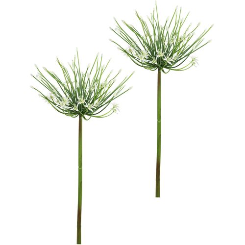 4019844812515 - Kunstblume IGEA Allium Zierlauch weiß B19cm H62cm L19cm Kunststoff Kunstpflanzen Stielblume künstliche Blumen 2er Set 4019844812515 - Kunstblume IGEA Allium Zierlauch weiß B19cm H62cm L19cm Kunststoff Kunstpflanzen Stielblume künstliche Blumen 2er Set