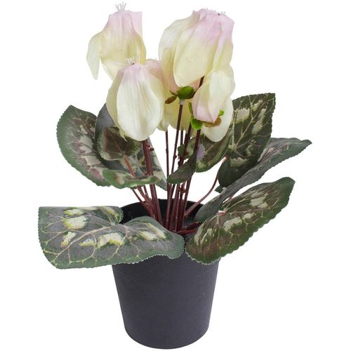8505451847072 - Kunstblume BOTANIC-HAUS Alpenveilchen pink (creme pink) B20cm H24cm T20cm Ø20cm Kunststoff Kunstpflanzen 8505451847072 - Kunstblume BOTANIC-HAUS Alpenveilchen pink (creme pink) B20cm H24cm T20cm Ø20cm Kunststoff Kunstpflanzen