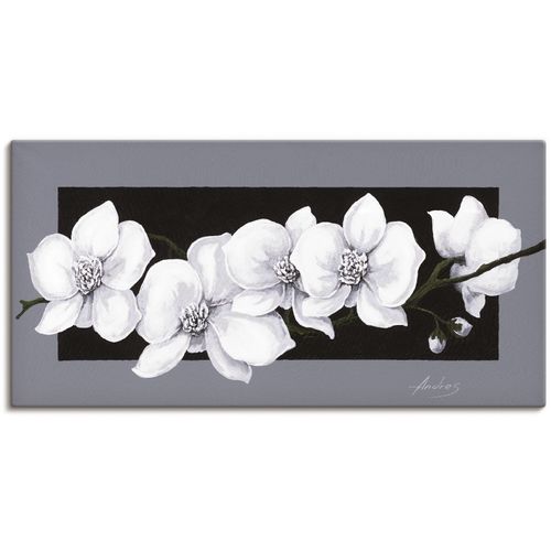 4055327159289 - Wandbild ARTLAND Weiße Orchideen auf grau Bilder Gr B H 150 cm x 75 cm Leinwandbild Blumen 1 St schwarz Bild Leinwandbild Kunstdrucke Bilder als Alubild Leinwandbild Wandaufkleber oder Poster in versch Größen