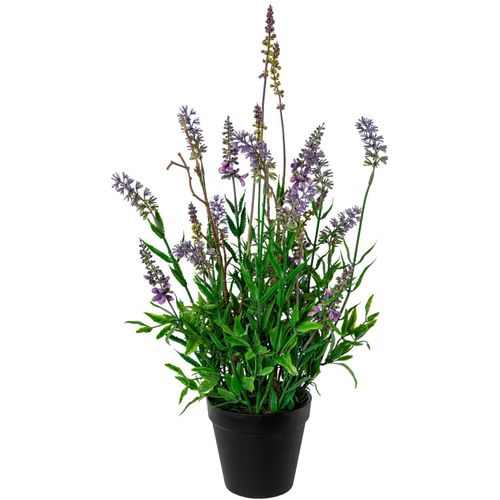 4064118137986 - Kunstblume CREATIV GREEN Lavendel im Topf lila H48cm Obermaterial 100% Polyethylen Kunstpflanzen 4064118137986 - Kunstblume CREATIV GREEN Lavendel im Topf lila H48cm Obermaterial 100% Polyethylen Kunstpflanzen