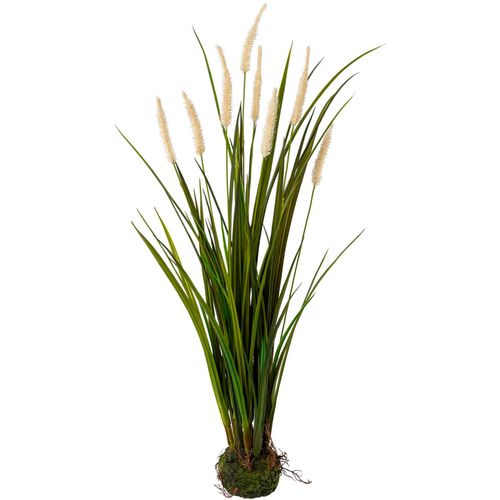 4064118138822 - Kunstgras CREATIV GREEN Miscanthus im Erdballen beige (creme) H75cm Obermaterial 100% Polyethylen Kunstpflanzen 4064118138822 - Kunstgras CREATIV GREEN Miscanthus im Erdballen beige (creme) H75cm Obermaterial 100% Polyethylen Kunstpflanzen