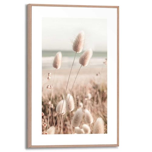 8714597636666 - Wandbild REINDERS Ziergras Bilder Gr B H T 20 cm x 30 cm x 16 cm beige Kunstdrucke 8714597636666 - Wandbild REINDERS Ziergras Bilder Gr B H T 20 cm x 30 cm x 16 cm beige Kunstdrucke