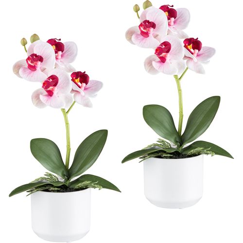 4064118240730 - Kunstorchidee CREATIV GREEN Orchidee Phalaenopsis pink H27cm Kunststoff Kunstpflanzen mit real-touch-Blüten 4064118240730 - Kunstorchidee CREATIV GREEN Orchidee Phalaenopsis pink H27cm Kunststoff Kunstpflanzen mit real-touch-Blüten