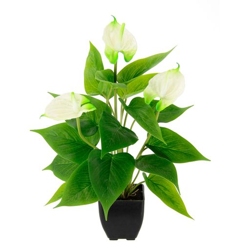 4019844789725 - Kunstblume IGEA Anthuriumpflanze weiß B20cm H42cm L20cm Obermaterial 80% Polyester 20% Kunststoff Kunstpflanzen Anthurien Pflanze im Topf Anthurieexotisch Flamingopflanze 4019844789725 - Kunstblume IGEA Anthuriumpflanze weiß B20cm H42cm L20cm Obermaterial 80% Polyester 20% Kunststoff Kunstpflanzen Anthurien Pflanze im Topf Anthurieexotisch Flamingopflanze