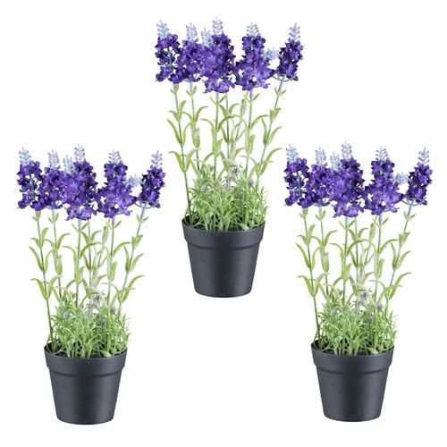 4064118242703 - Kunstpflanze CREATIV GREEN Lavendel lila H29cm Kunststoff Kunstpflanzen mit täuschend echten Blüten 4064118242703 - Kunstpflanze CREATIV GREEN Lavendel lila H29cm Kunststoff Kunstpflanzen mit täuschend echten Blüten