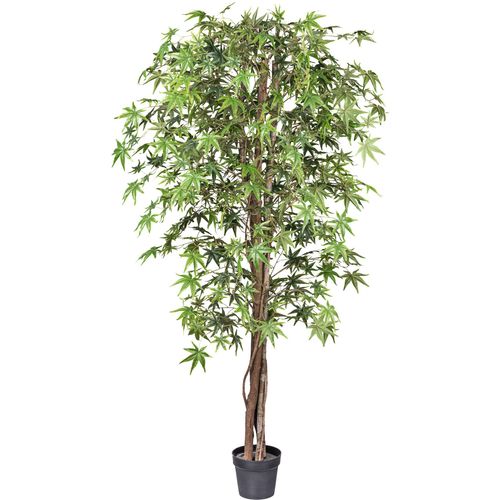 4064118182412 - Kunstbaum CREATIV GREEN Japanischer Fächerahorn Kunstpflanzen Gr H 200 cm 1 St grün mit Naturstamm 4064118182412 - Kunstbaum CREATIV GREEN Japanischer Fächerahorn Kunstpflanzen Gr H 200 cm 1 St grün mit Naturstamm