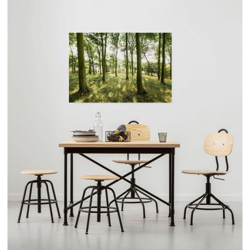4055065032042 - Leinwandbild Keilrahmenbild - Dänische Buchen - Größe 90 x 60 cm Baum Berge Blumen Blätter Foto Jahreszeiten Landschaft Meer Natur Palmen Strand (Packung 1 St) 90x60 cm (Breite x Höhe) Keilrahmenbild braun|gelb|grün 4055065032042 - Leinwandbild Keilrahmenbild - Dänische Buchen - Größe 90 x 60 cm Baum Berge Blumen Blätter Foto Jahreszeiten Landschaft Meer Natur Palmen Strand (Packung 1 St) 90x60 cm (Breite x Höhe) Keilrahmenbild braun|gelb|grün