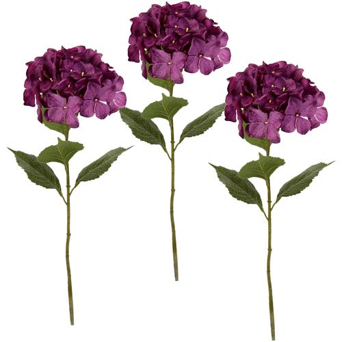 4019844782443 - Kunstblume IGEA Hortensie lila (burgund) B16cm H73cm Obermaterial 98% Polyester 2% Kunststoff Kunstpflanzen 3er Set 4019844782443 - Kunstblume IGEA Hortensie lila (burgund) B16cm H73cm Obermaterial 98% Polyester 2% Kunststoff Kunstpflanzen 3er Set