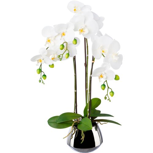 4064118138457 - Kunstorchidee CREATIV GREEN Phalaenopsis im Silbertopf weiß H55cm Obermaterial 100% Polyethylen Kunstpflanzen mit Real-Touch-Blüten 4064118138457 - Kunstorchidee CREATIV GREEN Phalaenopsis im Silbertopf weiß H55cm Obermaterial 100% Polyethylen Kunstpflanzen mit Real-Touch-Blüten