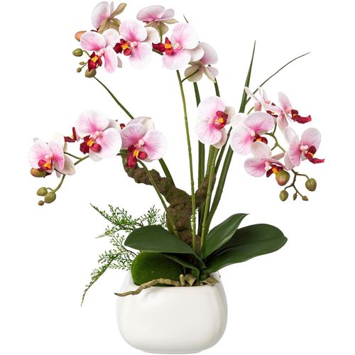 4064118137023 - Kunstorchidee CREATIV GREEN Deko-Orchidee Phalaenopsis im Keramiktopf lila Kunstpflanzen B H L 20cm x 46cm x 20cm Obermaterial 95% Polyethylen 5% Polyester B20cm H46cm L20cm 4064118137023 - Kunstorchidee CREATIV GREEN Deko-Orchidee Phalaenopsis im Keramiktopf lila Kunstpflanzen B H L 20cm x 46cm x 20cm Obermaterial 95% Polyethylen 5% Polyester B20cm H46cm L20cm