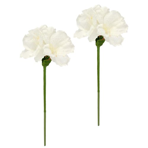 4019844816711 - Kunstblume IGEA Amaryllis 2er Set weiß B16cm H60cm L12cm Polyester Kunstpflanzen 60cm Blumen Zweig Dekozweig Weihnachtsdeko Weihnachtsblume Deko 4019844816711 - Kunstblume IGEA Amaryllis 2er Set weiß B16cm H60cm L12cm Polyester Kunstpflanzen 60cm Blumen Zweig Dekozweig Weihnachtsdeko Weihnachtsblume Deko