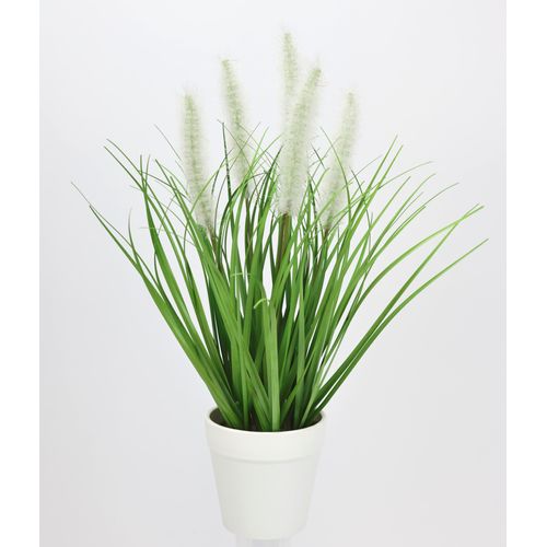4019844806194 - Kunstpflanze IGEA Fuchsschwanzgras im Topf weiß B14cm H35cm L14cm Kunststoff Kunstpflanzen 4019844806194 - Kunstpflanze IGEA Fuchsschwanzgras im Topf weiß B14cm H35cm L14cm Kunststoff Kunstpflanzen