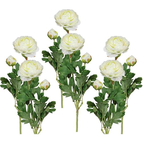 4064118033882 - Kunstblume CREATIV GREEN Kunstpflanzen Gr H 40 cm 6 St beige (creme) Kunst-Blumen Kunstpflanzen 6er Set 4064118033882 - Kunstblume CREATIV GREEN Kunstpflanzen Gr H 40 cm 6 St beige (creme) Kunst-Blumen Kunstpflanzen 6er Set