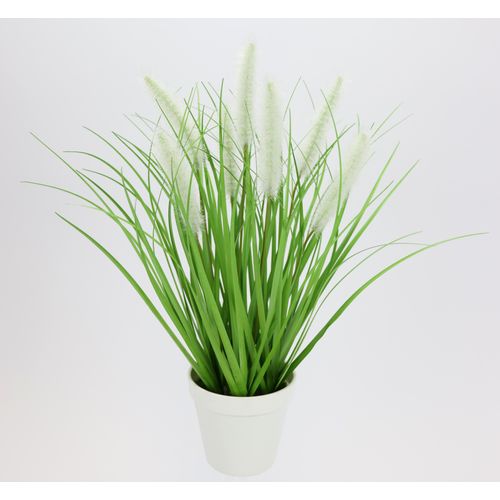 4019844806217 - Kunstpflanze IGEA Fuchsschwanzgras im Topf weiß B21cm H42cm L21cm Kunststoff Kunstpflanzen 4019844806217 - Kunstpflanze IGEA Fuchsschwanzgras im Topf weiß B21cm H42cm L21cm Kunststoff Kunstpflanzen