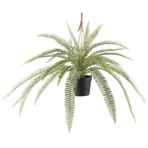 4064118242659 - Kunstpflanze CREATIV GREEN Bostonfarn grün (hellgrün) H45cm Ø80cm Kunststoff Kunstpflanzen mit Aufhängung 4064118242659 - Kunstpflanze CREATIV GREEN Bostonfarn grün (hellgrün) H45cm Ø80cm Kunststoff Kunstpflanzen mit Aufhängung