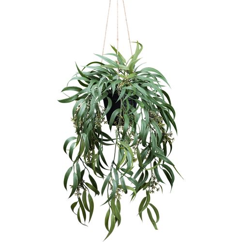 4064118182290 - Kunstpflanze CREATIV GREEN Eukalyptus Globolus weiß H65cm Kunstpflanzen mit Fruchtblüten