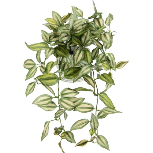4019844798321 - Kunstpflanze IGEA Tradescantiahänger Kunstpflanzen Gr B H L 26 cm x 42 cm x 22 cm 2 St bunt (grünrot) Künstliche Zimmerpflanzen Mit Übertopf Kunstpflanze Hängepflanze Pflanzenampel Kletterpflanze 4019844798321 - Kunstpflanze IGEA Tradescantiahänger Kunstpflanzen Gr B H L 26 cm x 42 cm x 22 cm 2 St bunt (grünrot) Künstliche Zimmerpflanzen Mit Übertopf Kunstpflanze Hängepflanze Pflanzenampel Kletterpflanze
