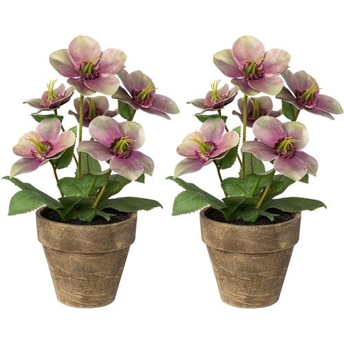 4064118883456 - Winterliche Kunstpflanze CREATIV DECO Weihnachtsdeko Kunstpflanzen Gr H 28 cm 2 St lila Kunstpflanzen 2er Set inkl Übertopf 4064118883456 - Winterliche Kunstpflanze CREATIV DECO Weihnachtsdeko Kunstpflanzen Gr H 28 cm 2 St lila Kunstpflanzen 2er Set inkl Übertopf