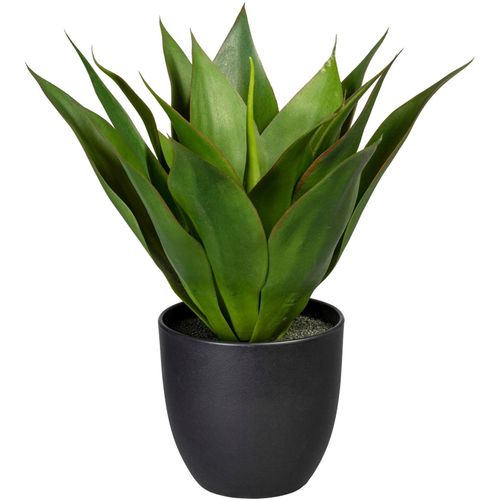 4064118971252 - Künstliche Zimmerpflanze CREATIV GREEN Agave Kunstpflanzen Gr H 36 cm 1 St grün Künstliche Zimmerpflanzen 4064118971252 - Künstliche Zimmerpflanze CREATIV GREEN Agave Kunstpflanzen Gr H 36 cm 1 St grün Künstliche Zimmerpflanzen
