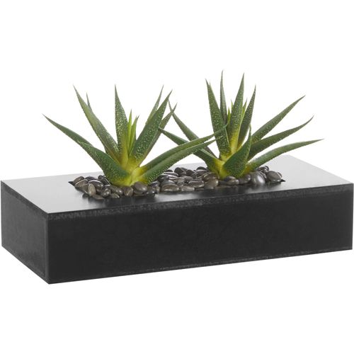 4003529599143 - Kunstkaktus CREATIV GREEN Kunstpflanzen Gr B H 24 cm x 16 cm 1 St grün Kunstkaktus Kunst-Kakteen Kunstpflanzen 4003529599143 - Kunstkaktus CREATIV GREEN Kunstpflanzen Gr B H 24 cm x 16 cm 1 St grün Kunstkaktus Kunst-Kakteen Kunstpflanzen