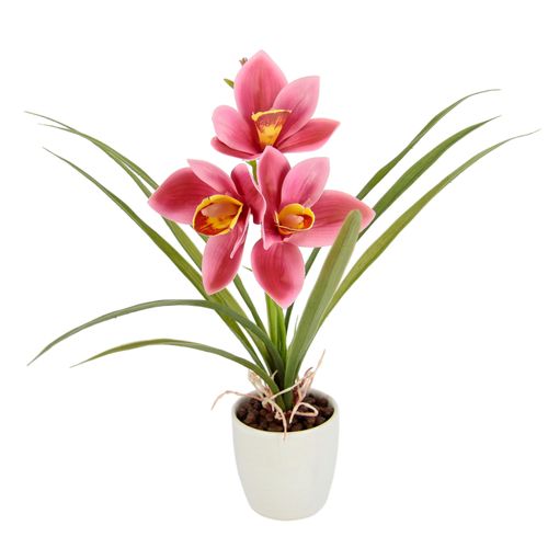 4019844800949 - Kunstblume IGEA Orchidee Kunstpflanzen Gr B H L 26 cm x 32 cm x 16 cm 1 St rosa Kunst-Blumen Mit Blätter im Topf aus Keramik Künstliche Blume Cymbidium-Orchidee 4019844800949 - Kunstblume IGEA Orchidee Kunstpflanzen Gr B H L 26 cm x 32 cm x 16 cm 1 St rosa Kunst-Blumen Mit Blätter im Topf aus Keramik Künstliche Blume Cymbidium-Orchidee