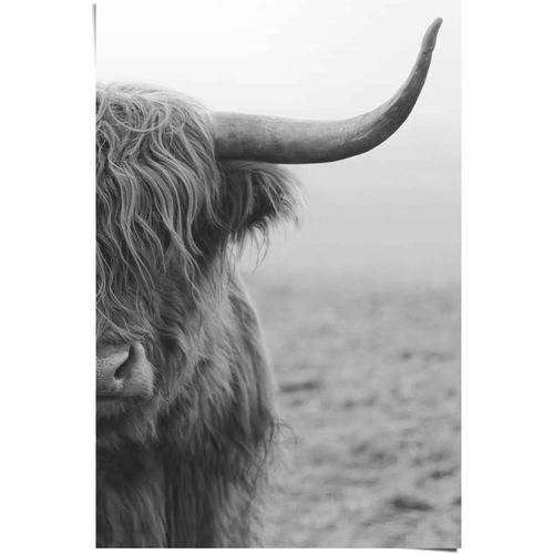 8714597553239 - Poster REINDERS Poster Highlander Bulle schwarz (farbe bild(er) schwarz) B61cm H915cm Papier Bilder 8714597553239 - Poster REINDERS Poster Highlander Bulle schwarz (farbe bild(er) schwarz) B61cm H915cm Papier Bilder