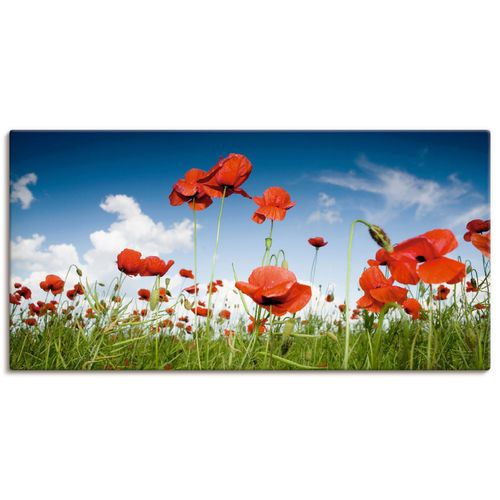 4055327243537 - Wandbild ARTLAND Feld mit Mohnblumen unter Himmel Bilder Gr B H 100 cm x 50 cm Leinwandbild Blumenwiese Querformat 1 St bunt Bild Metallbild Metallbilder Bilder als Alubild Leinwandbild Wandaufkleber oder Poster in versch Größen 4055327243537 - Wandbild ARTLAND Feld mit Mohnblumen unter Himmel Bilder Gr B H 100 cm x 50 cm Leinwandbild Blumenwiese Querformat 1 St bunt Bild Metallbild Metallbilder Bilder als Alubild Leinwandbild Wandaufkleber oder Poster in versch Größen