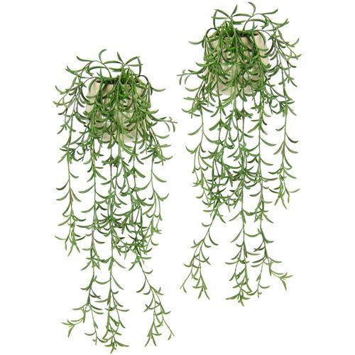 4019844805135 - Kunstpflanze IGEA Sprengerie im Topf 2er Set künstlich Pflanze Hängepflanze Kunstblume grün B13cm H45cm L13cm Kunststoff Kunstpflanzen Grünhänger hängende Pflanze Grünpflanze Zimmerpflanze Dekopflanze Moos 4019844805135 - Kunstpflanze IGEA Sprengerie im Topf 2er Set künstlich Pflanze Hängepflanze Kunstblume grün B13cm H45cm L13cm Kunststoff Kunstpflanzen Grünhänger hängende Pflanze Grünpflanze Zimmerpflanze Dekopflanze Moos