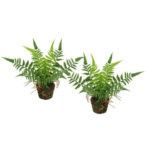 4019844818890 - Kunstpflanze IGEA Künstlicher Waldfarn im Topf grün B14cm H23cm L12cm Kunststoff Kunstpflanzen 2er Set Farn Büsche Pflanze Deko Grünpflanze Waldpflanze Zimmerpflanze 4019844818890 - Kunstpflanze IGEA Künstlicher Waldfarn im Topf grün B14cm H23cm L12cm Kunststoff Kunstpflanzen 2er Set Farn Büsche Pflanze Deko Grünpflanze Waldpflanze Zimmerpflanze