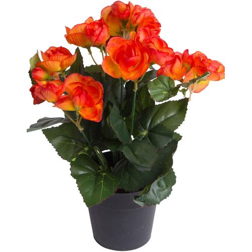 8505451846051 - Kunstblume BOTANIC-HAUS Begonienbusch mit 7 Stielen orange B18cm H26cm T18cm Ø18cm Kunststoff Kunstpflanzen 8505451846051 - Kunstblume BOTANIC-HAUS Begonienbusch mit 7 Stielen orange B18cm H26cm T18cm Ø18cm Kunststoff Kunstpflanzen
