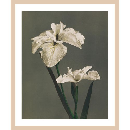 4067437106626 - Bild mit Rahmen QUEENCE Gwendolin grau (farbe rahmen hellbraun farbe bild(er) grau) B50cm H70cm T15cm Acrylglas Holz Bilder Premium Rahmenbild 4067437106626 - Bild mit Rahmen QUEENCE Gwendolin grau (farbe rahmen hellbraun farbe bild(er) grau) B50cm H70cm T15cm Acrylglas Holz Bilder Premium Rahmenbild