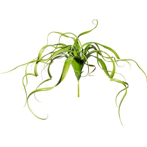 4064118144274 - Kunstranke CREATIV GREEN Farnpflanze Kunstpflanzen Gr Ø H 35 cm x 30 cm 1 St grün Kunst-Ranken in toller Größe 4064118144274 - Kunstranke CREATIV GREEN Farnpflanze Kunstpflanzen Gr Ø H 35 cm x 30 cm 1 St grün Kunst-Ranken in toller Größe