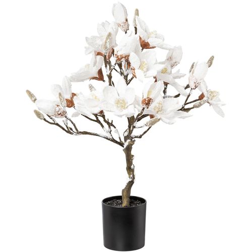 4064118999058 - Winterliche Kunstpflanze CREATIV GREEN Weihnachtsdeko Kunstpflanzen Gr B H 40 cm x 58 cm 1 St weiß Kunstpflanzen Baum mit beschneiter Optik