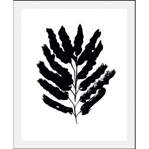 4067437347203 - Bild QUEENCE Holle weiß (farbe rahmen schwarz farbe bild(er) weiß) B50cm H70cm Acrylglas Papier Holz Bilder gerahmt